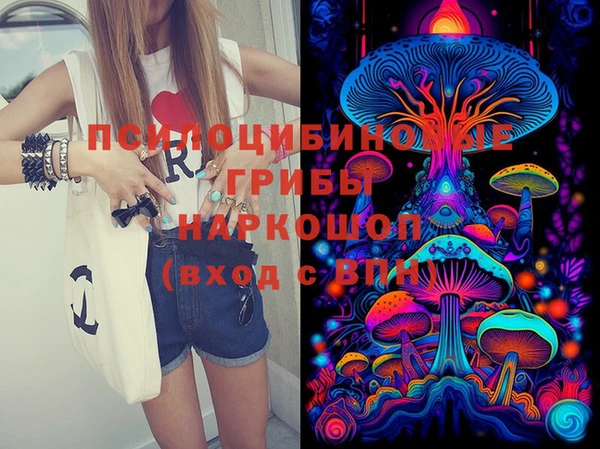 марки lsd Горняк
